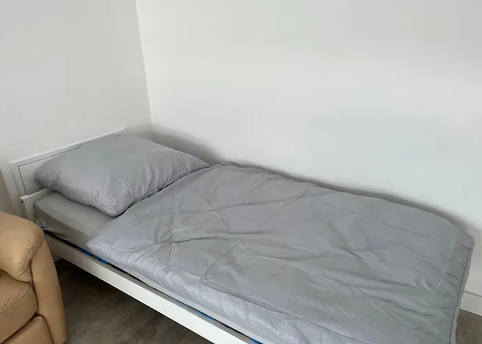 Alt Ap * 伍珀塔尔