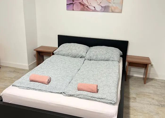 Alt Ap * 伍珀塔尔